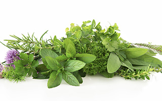 Spotlight on Phytoestrogenic Herbs