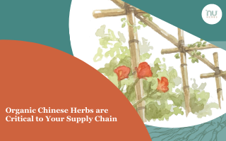 Organic Chinese Herbs Are Critical to Your Supply Chain