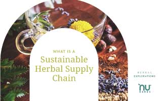 Climate Change and Building a Sustainable Supply Chain