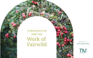 Conservation, Preservation, ESG, and the Work of FairWild
