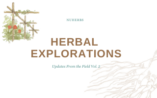 Herbal Explorations Vol. 2: From The Field Report