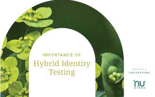The Importance of Herbal Identity Testing