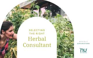Selecting the Right Herbal Consulting for R&D