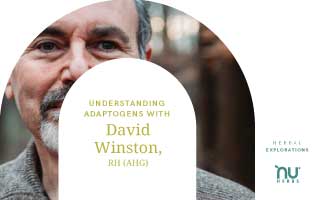 Understanding Adaptogens with David Winston