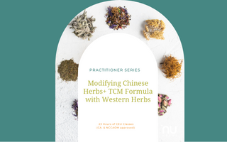 Practitioner Education Series w/Five Flavors Herbs