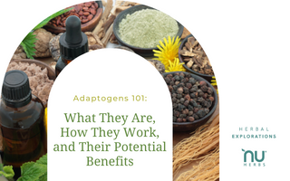 Part 1:  Adaptogens 101: What They Are, How They Work and Their Potential Benefits