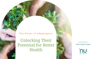 Part 2:  The Power of Adaptogens: Unlocking Their Potential for Better Health