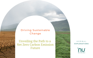 Driving Sustainable Change:  Unveiling a Path to a Net Zero Carbon Emission Future 
