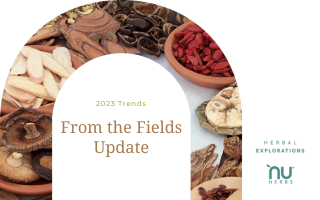 From The Fields: 2023 Herbs and Botanical Trends