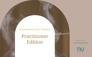 November  2023 TCM Practitioner Insights: Health and Wellness Trends 