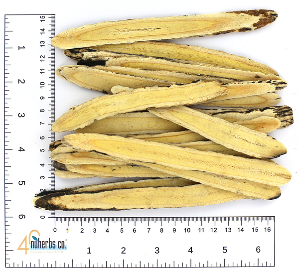 Huang Qi (1st) Nuherbs