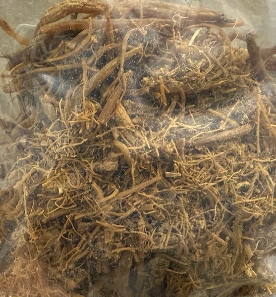 You Ji Hong Jilin Ren Shen Xu